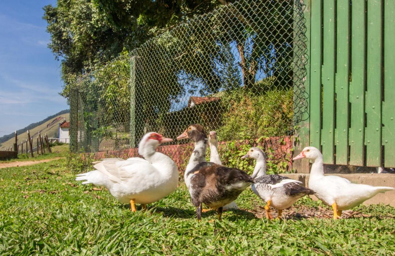 Hotel Fazenda Canto Da Serra Jaconé Εξωτερικό φωτογραφία