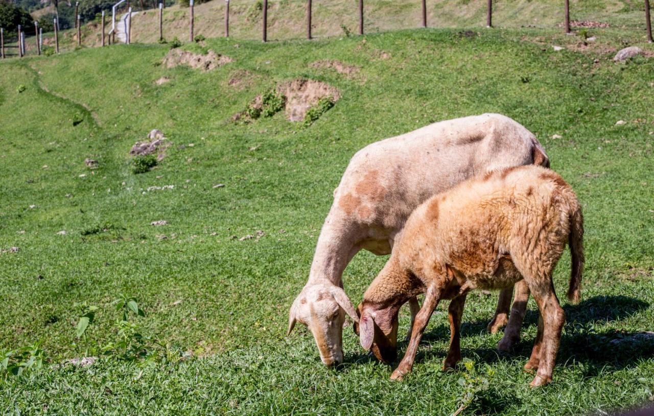 Hotel Fazenda Canto Da Serra Jaconé Εξωτερικό φωτογραφία
